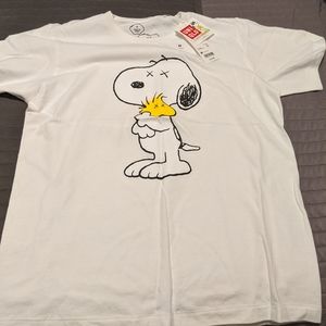 Kaws Uniqlo